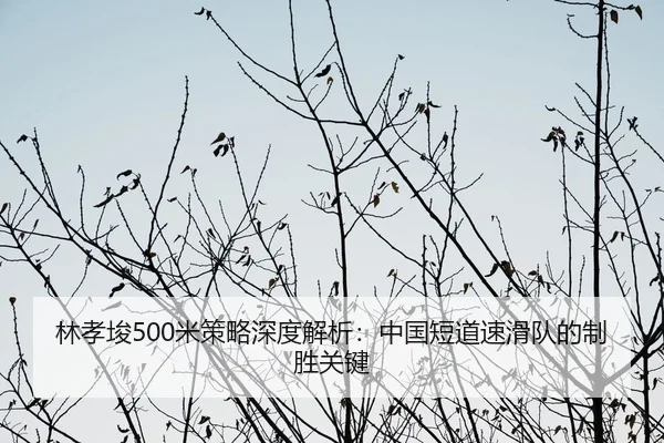 林孝埈500米策略深度解析：中国短道速滑队的制胜关键
