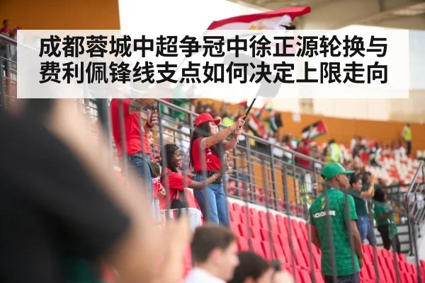 soccer stadium fans